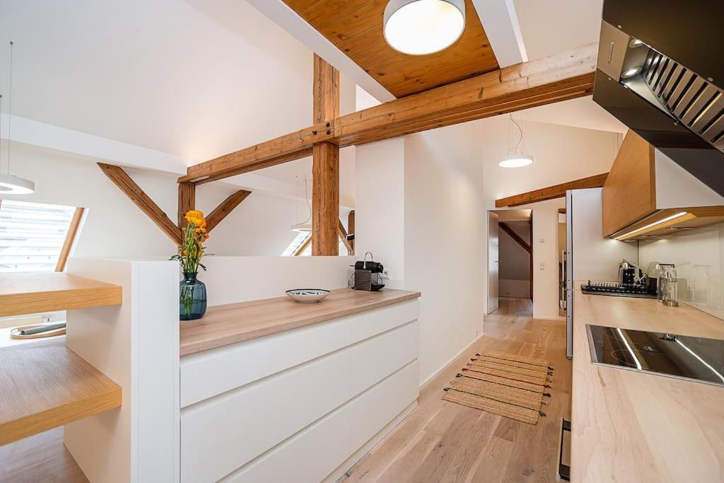 Fantastic Attic With Big Terrace * Prague