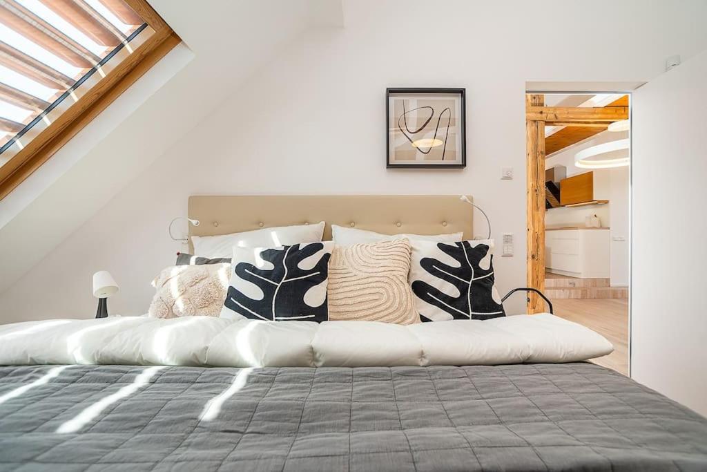 Fantastic Attic With Big Terrace Apartment