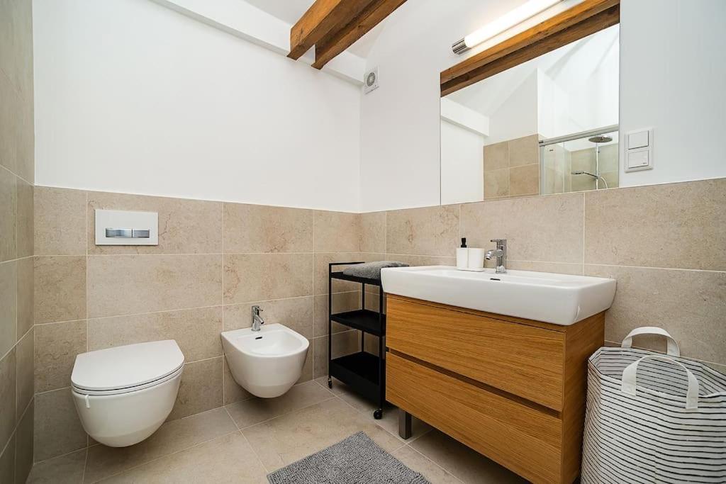 Fantastic Attic With Big Terrace * Prague