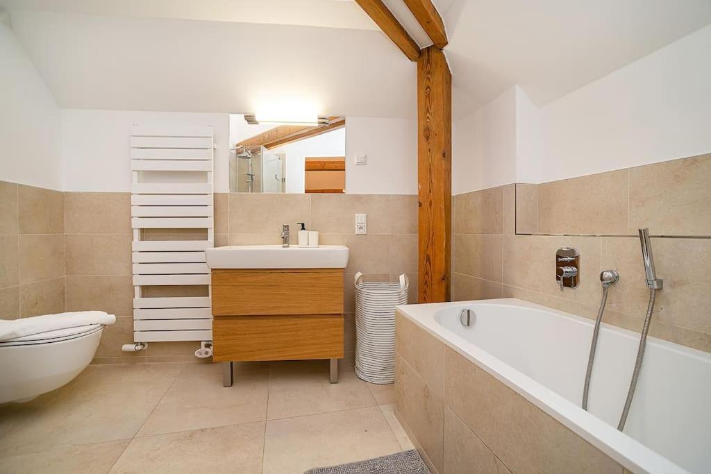 Fantastic Attic With Big Terrace * Prague
