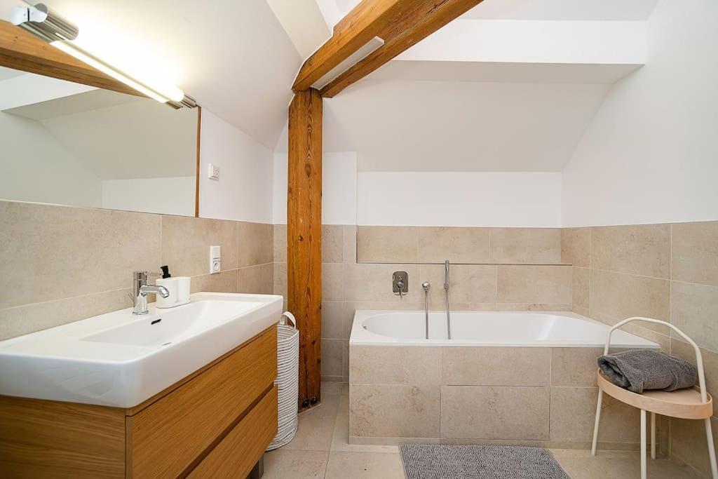 Apartment Fantastic Attic With Big Terrace Prague