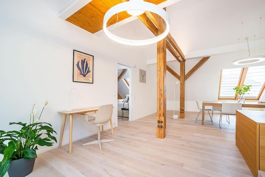 Fantastic Attic With Big Terrace