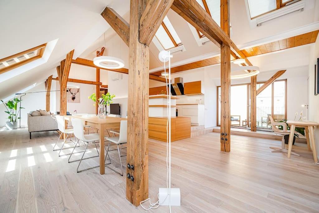 Fantastic Attic With Big Terrace Apartment