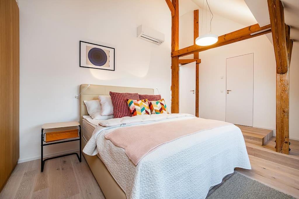 Fantastic Attic With Big Terrace Apartment